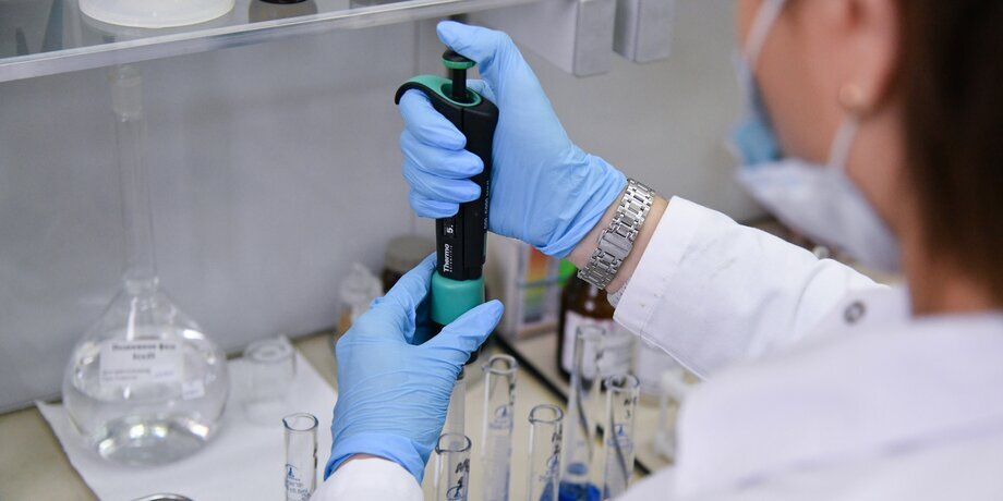 Фото: Москва 24/Антон Великжанин