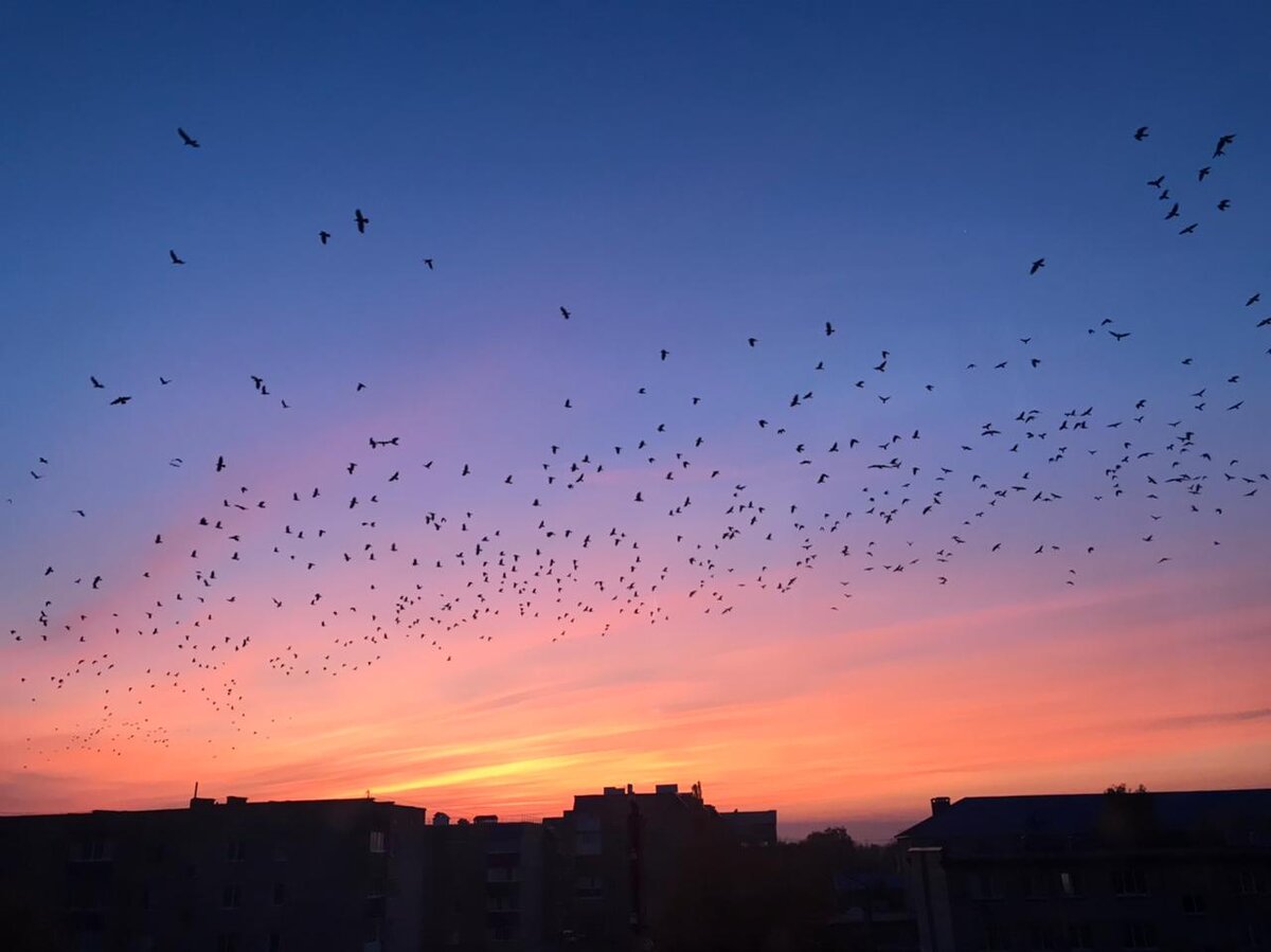 Птицы в гнезде до осени, а дети в дому до возраста.