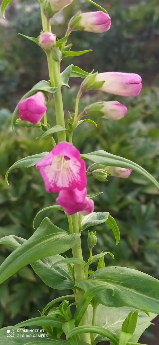 Пришлось пересадить