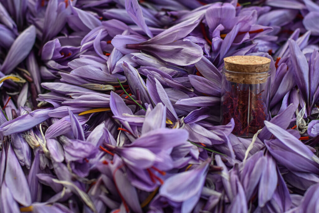 Фото: Михаил Гладчук