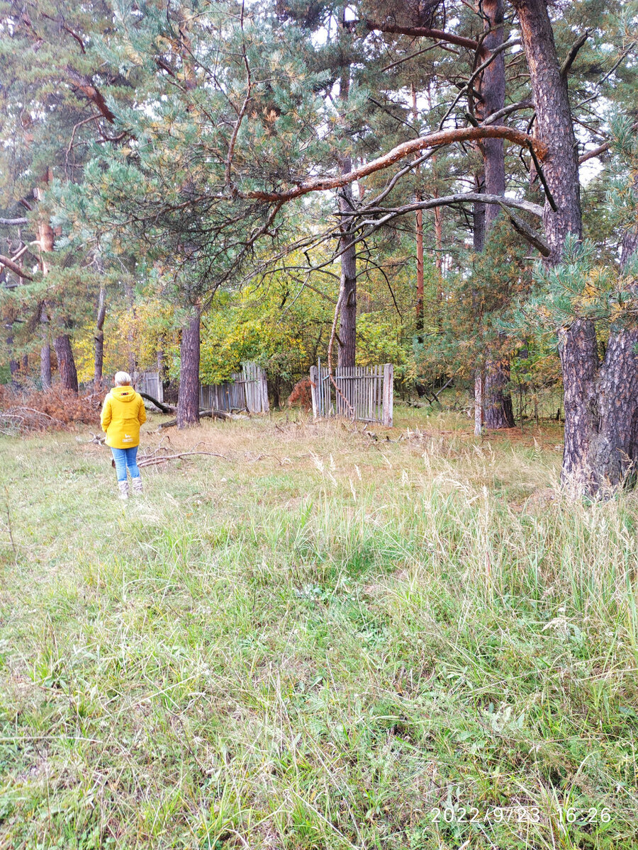 окрестности села Медное 