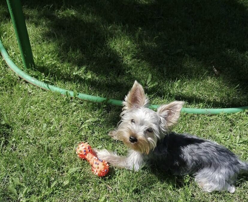    Фото: ИА SM.News