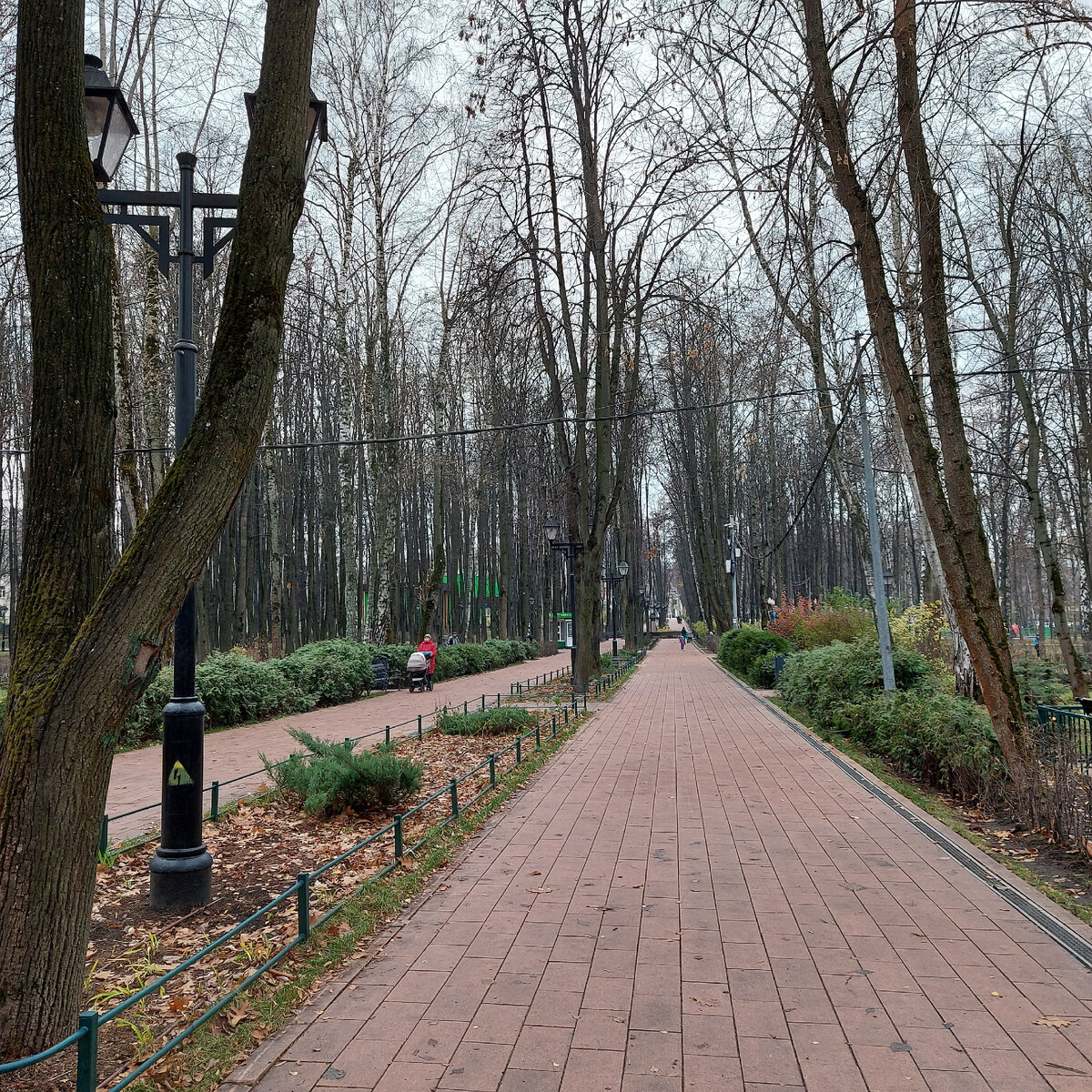 Бабушкинский парк