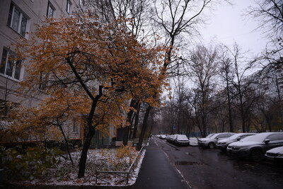    Первый снег ©Мария Шуревская РИАМО