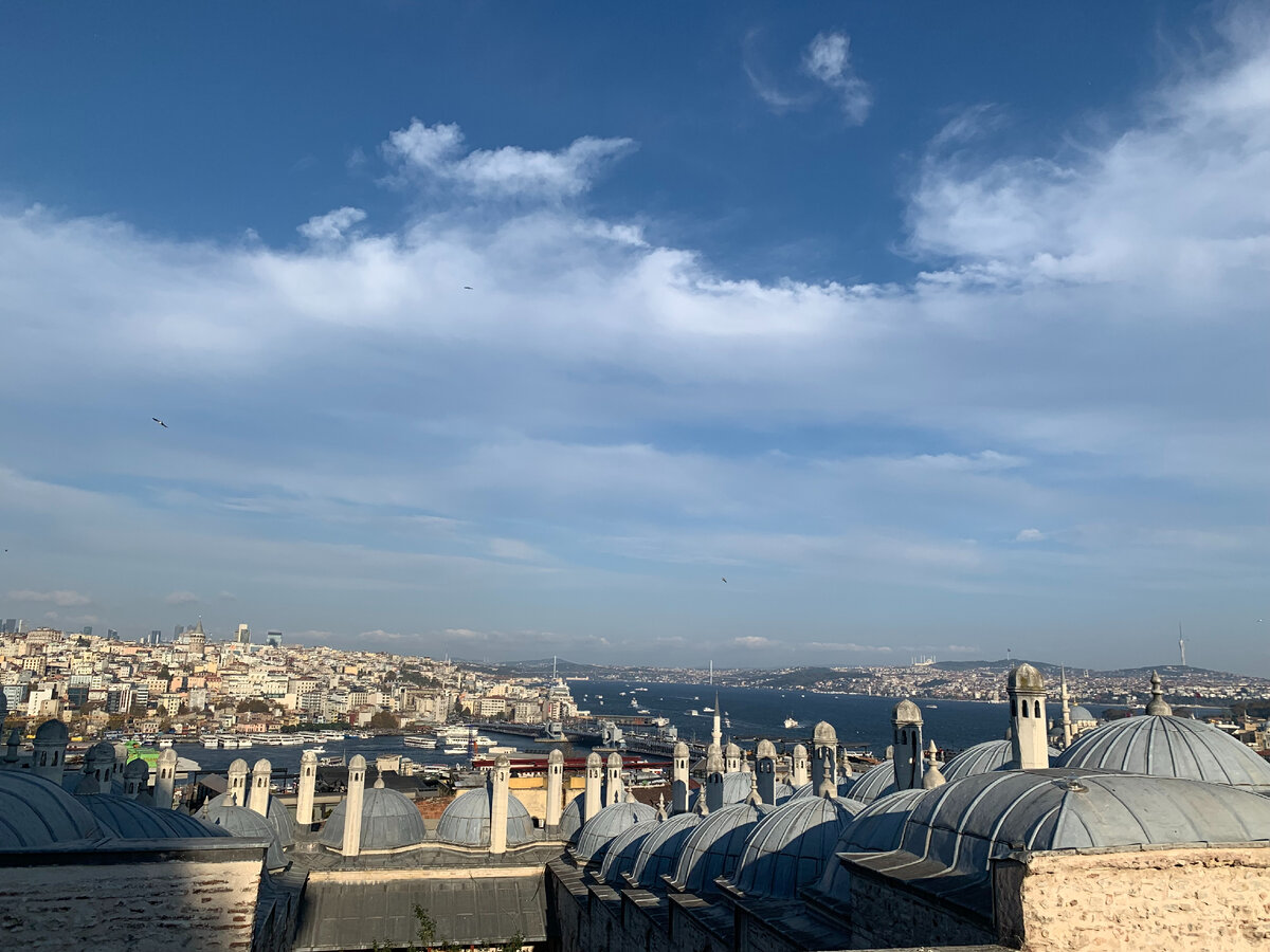 Вид с обзорной площадки. Внизу купола медресе 