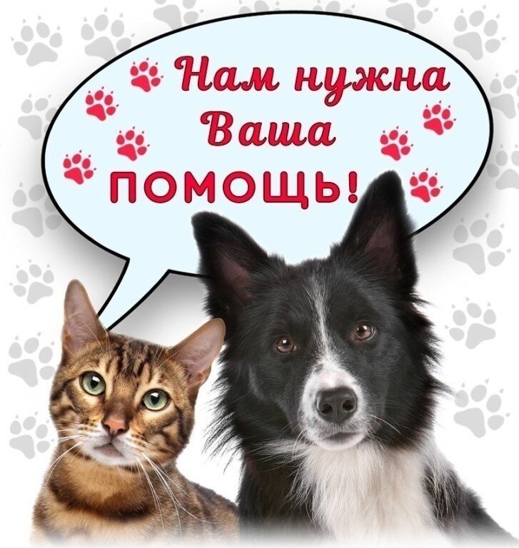 Из открытого источника