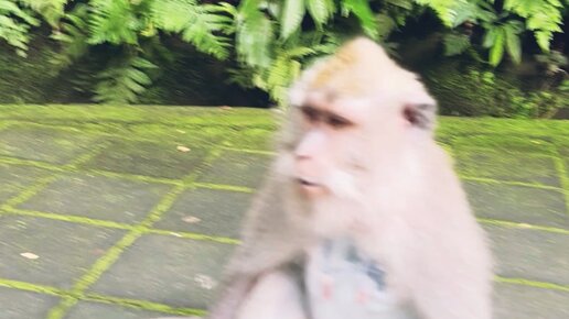 Наиля Латыпова | Ролики — короткие видео