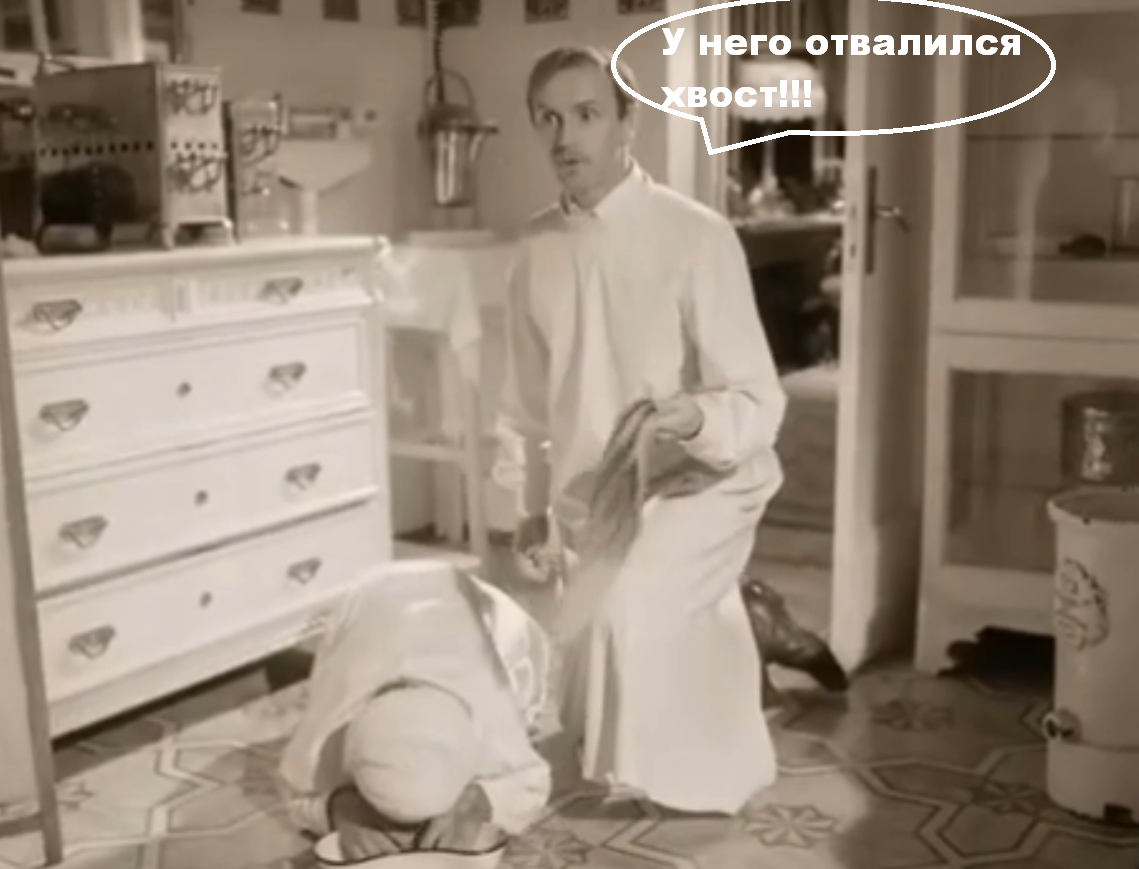 Сцена из фильма "Собачье сердце" 