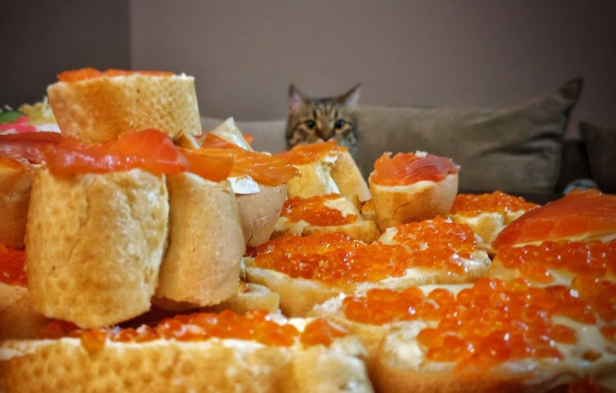 
Цены на икру осенью обновили исторический максимум. По данным Росстата, стоимость 1 килограмма деликатеса в стране превысила 5,5 тысяч рублей. По последним данным института рыбного хозяйства и океанографии, вылов горбуши, нерки, кижуча и других видов лососевых едва превысил 260 тысяч тонн — это в два раза меньше, чем в 2021 году. Если год назад россияне отдавали за килограмм икры около 3,6 тысячи рублей, то в этом придётся отдать уже 5–6 тысяч рублей.

Чёрная икра тоже подорожает — производители обвиняют во всём антироссийские санкции. Осетровая икра в этом году обойдётся примерно в 60 тысяч рублей за килограмм.