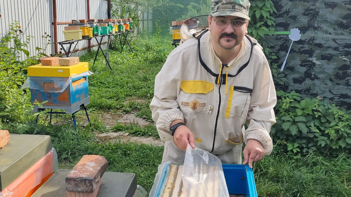 Решили купить пчел, посадили их в пчелиный улей. И получили проблему ...