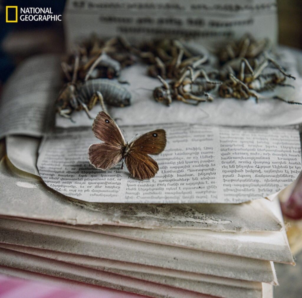     Фото: National Geographic