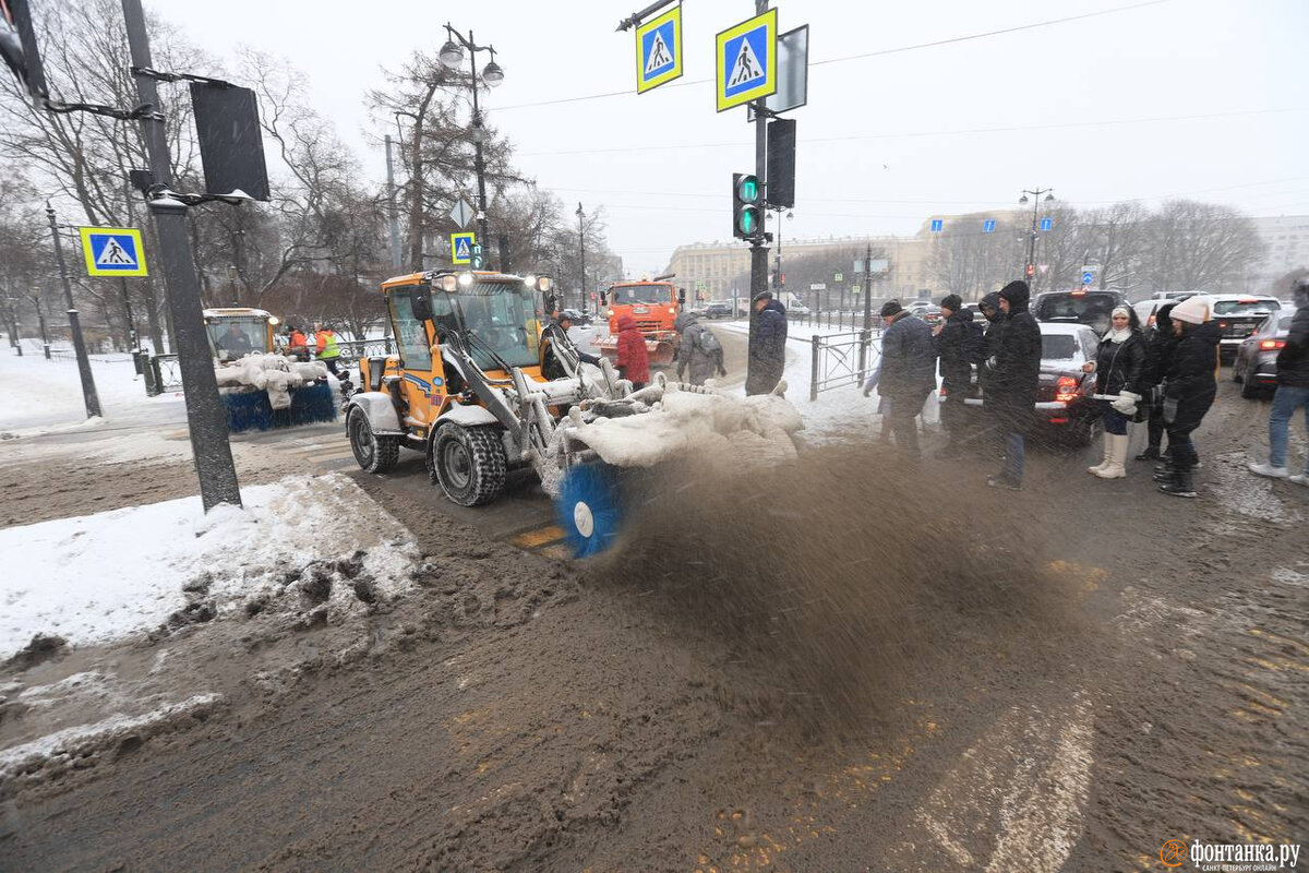   
 Фото: Сергей Михайличенко/«Фонтанка.ру»