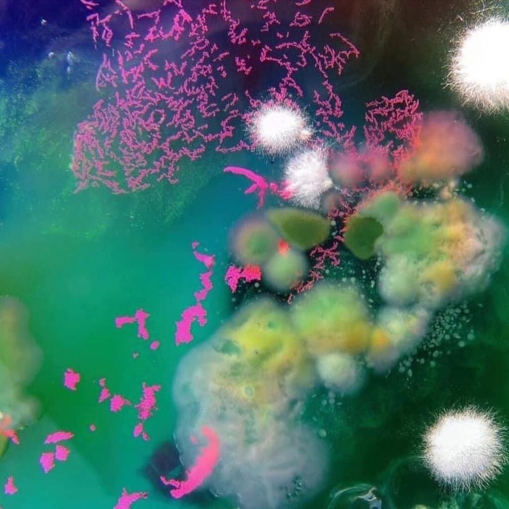     Фото: Даша Плесень / Daria Fedorova / Dasha Plesen