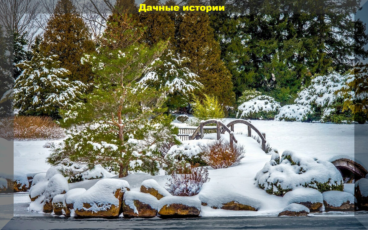 https://vk.com/photo-159774511_457257335