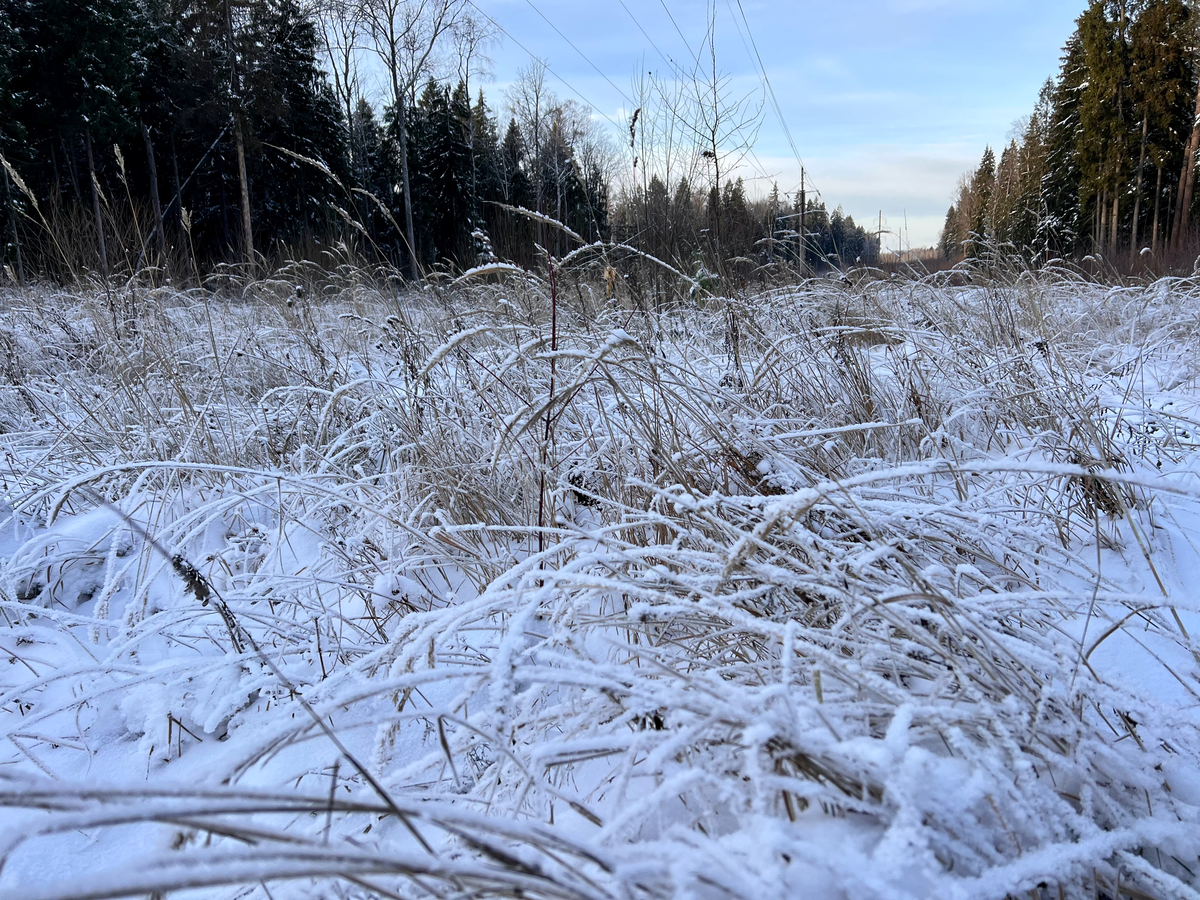 Листайте галерею