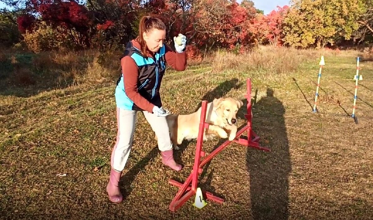 Ляля изучает команду «хоп»