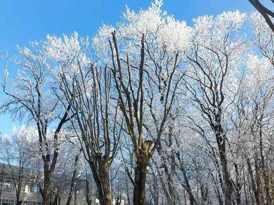     фото: пресс-служба администрации Ессентуков