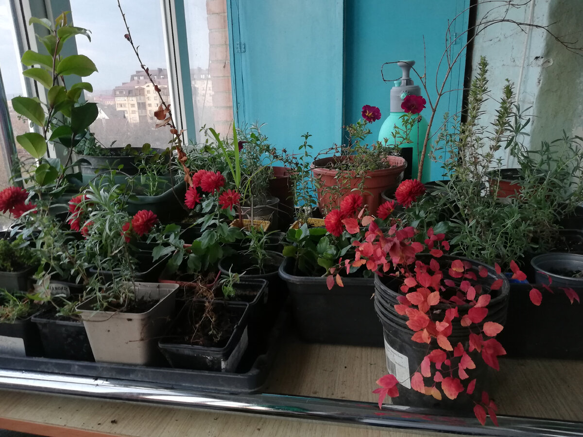 фото сделано 18.11.2022 г.