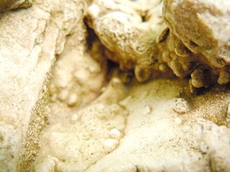 Этот осколок как бы сердолика уже известен множеству читателей Википедии, а благодаря копирайтерам, ещё и большему их количеству. Но сейчас он определяется как кварц, подвергнувшийся воздействию огнём.-29