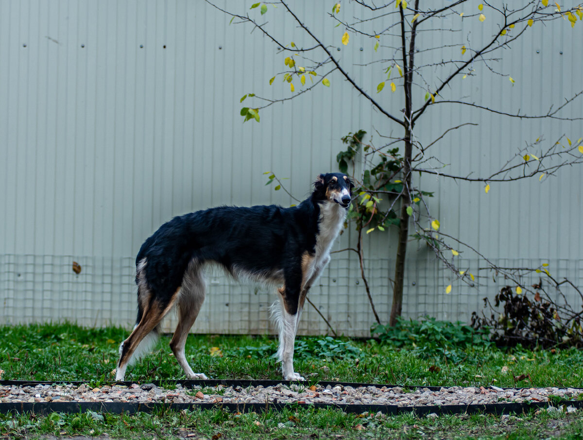 Фото из личного архива