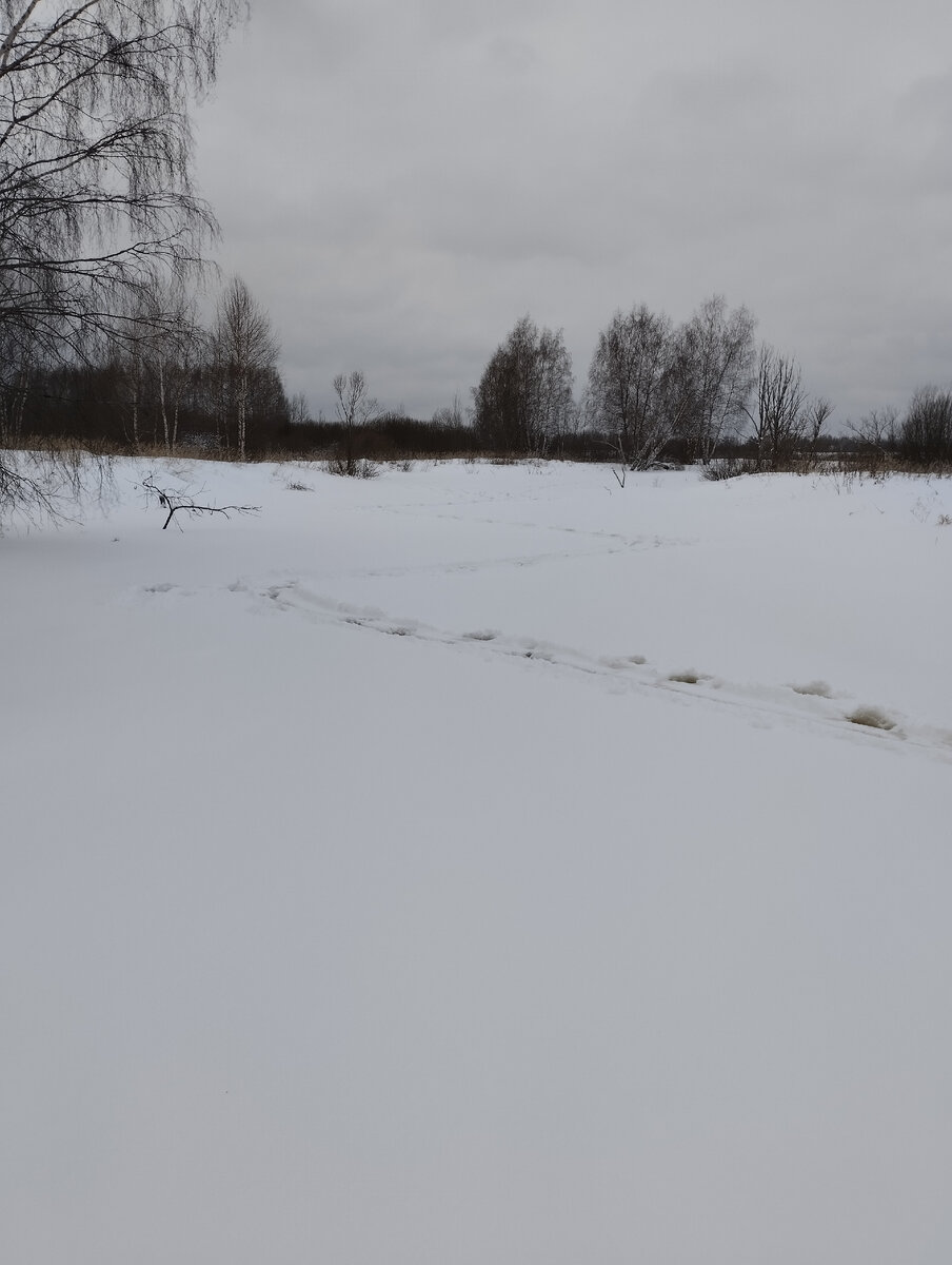 Снег, а под ним вода темнеет.