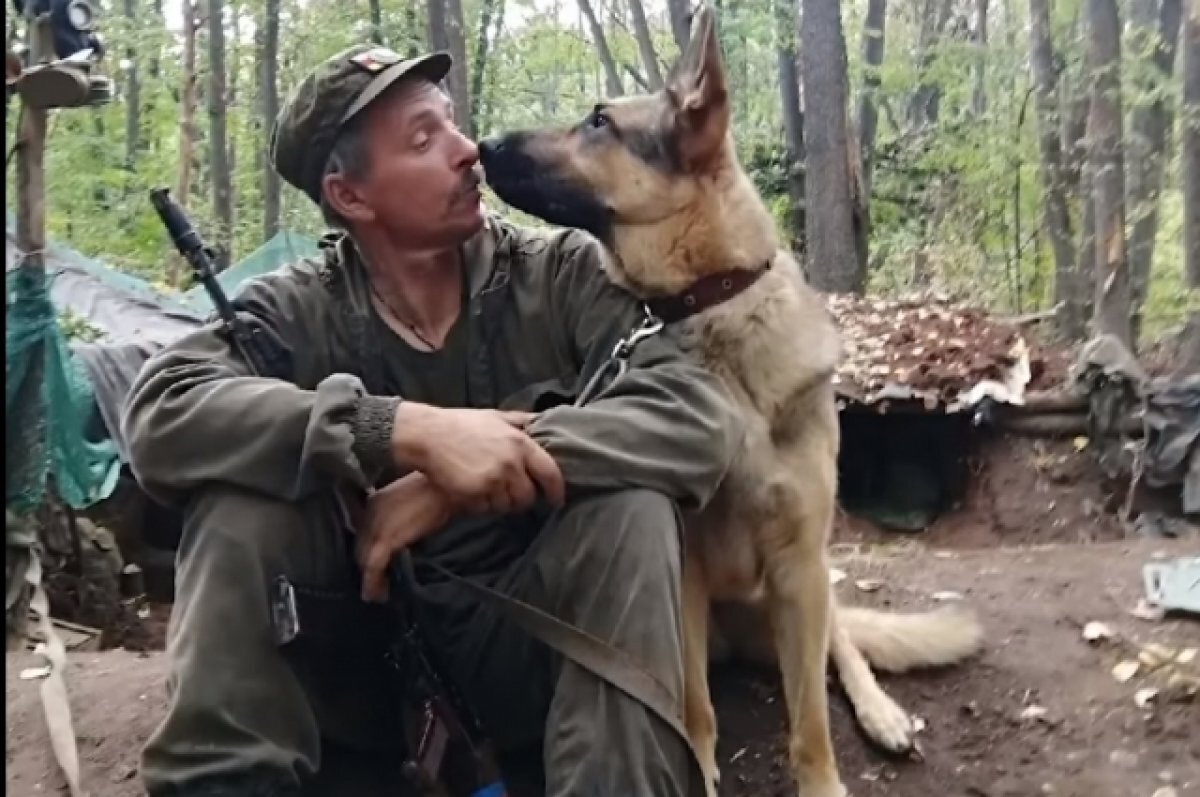    Боец из Коми Мухин заявил о сборе средств на памятник псу-талисману Сармату