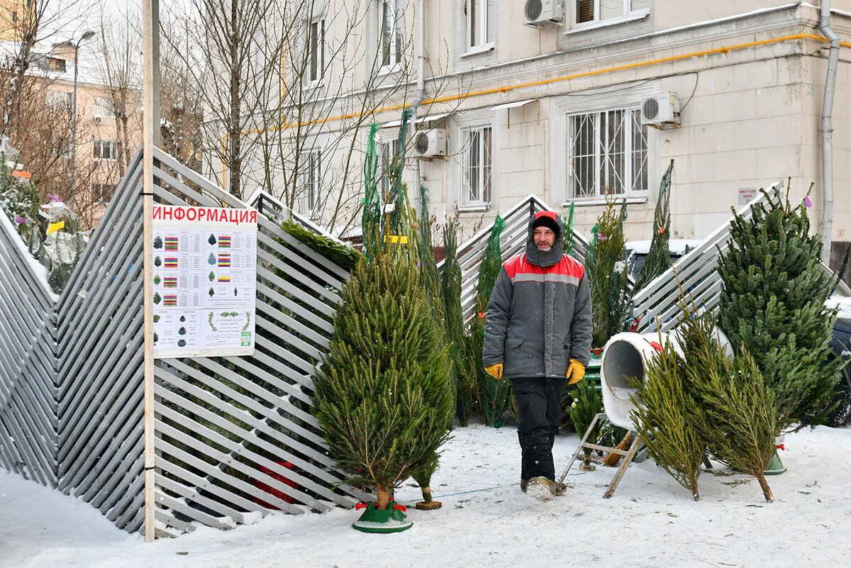 Фото: Ю. Иванко. mos.ru