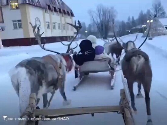     ФОТО: Департамент образования ЯНАО