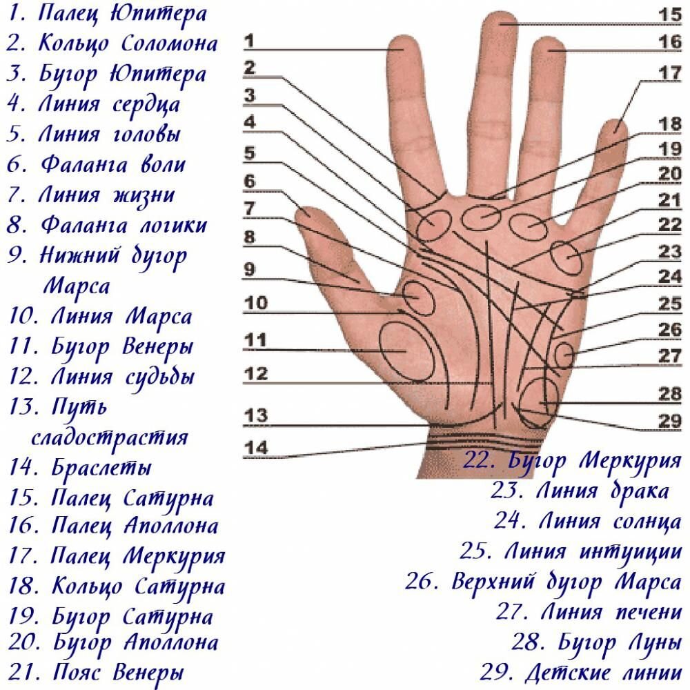 Хиромантия | Психолог Татьяна Кудеярова | Дзен