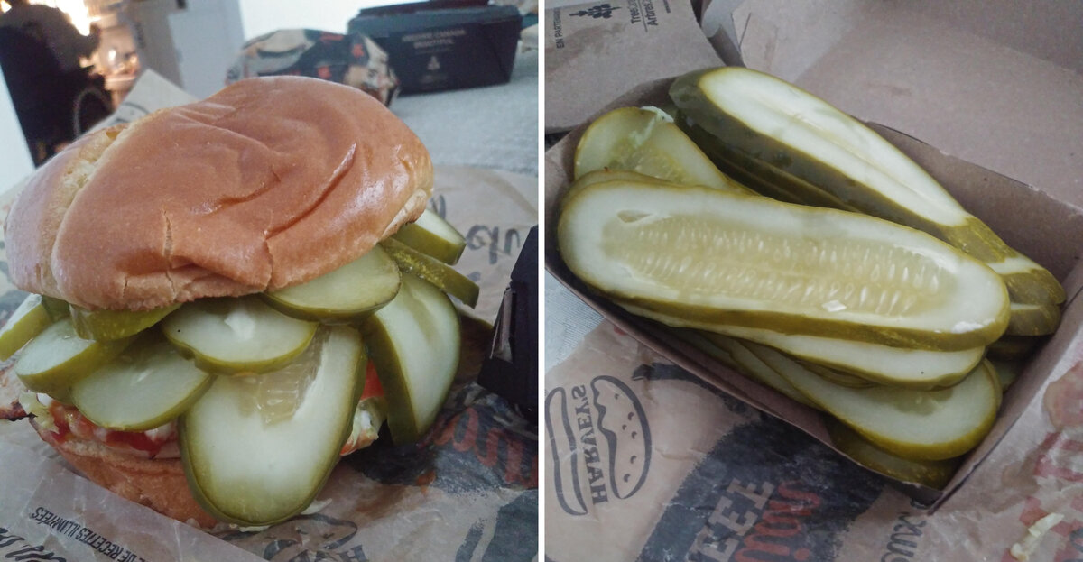 Фото: Monsieur-Monster / Reddit📷
