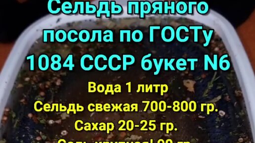 Селедка пряного посола по госту ссср рецепт. Освещение для микрозелени. Рассада началась. Жрут рассаду петунии. Рассада признак старости.