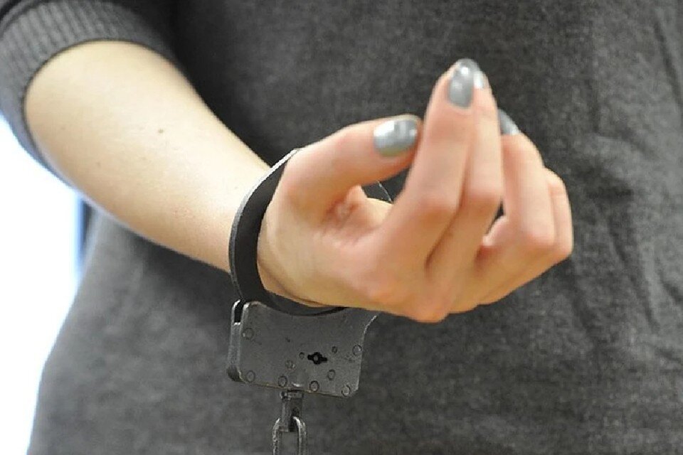     Многодетная мать в девятый раз попалась на мошенничестве Анатолий ЖДАНОВ