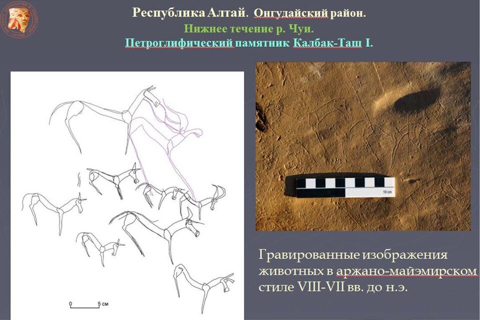     Новые петроглифы. Фото из презентации Вячеслава Молодина