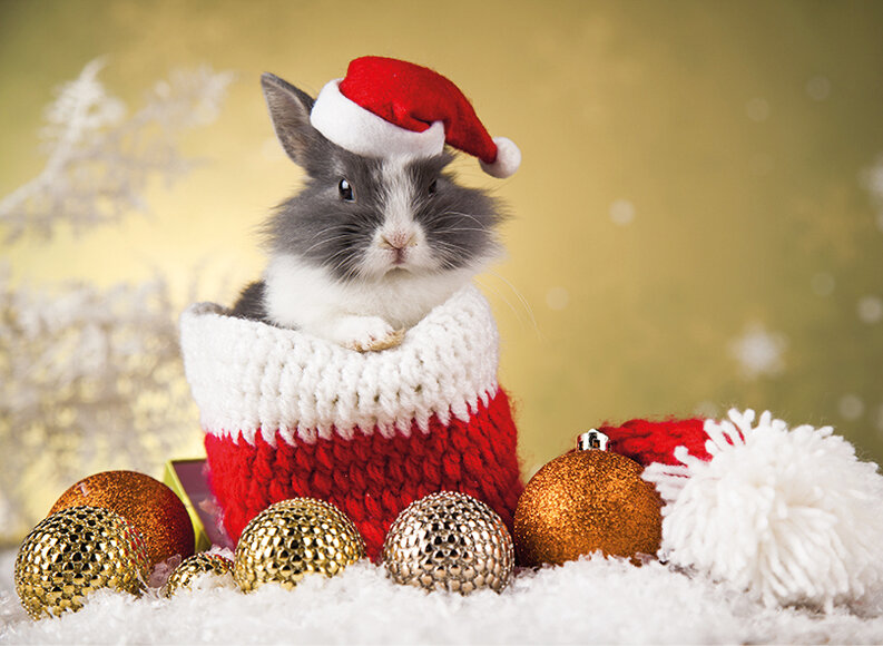 Фото: on-desktop.com