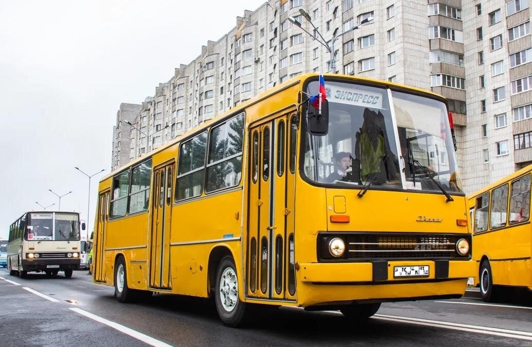 Ikarus 260. Икарус 260.01. Икарус-260.06. Икарус 260т1.