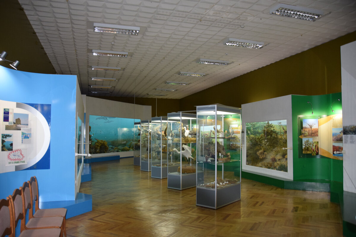 зал природы в музеях