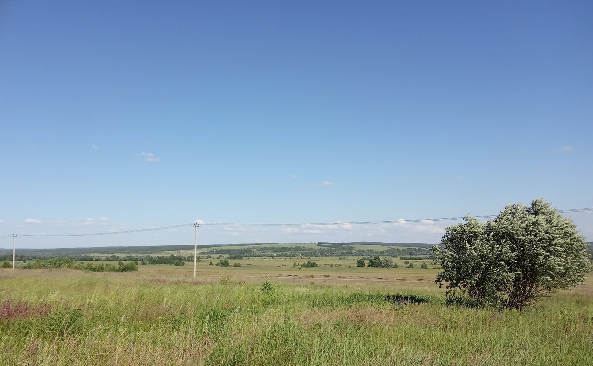 Та самая река вдалеке. Фото из личного архива.