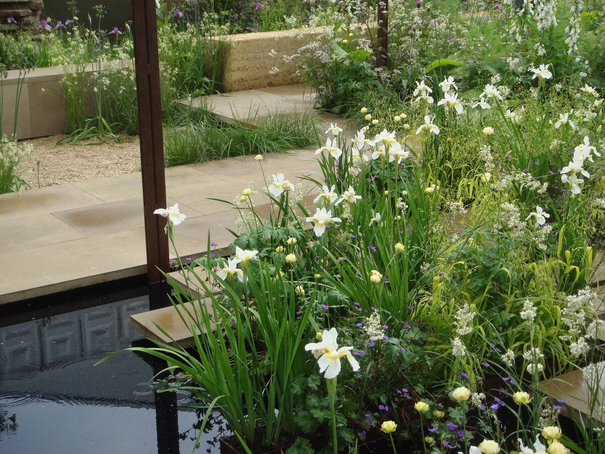    На цветочной выставке можно воочию увидеть воплощение своей мечты о белом цветнике.