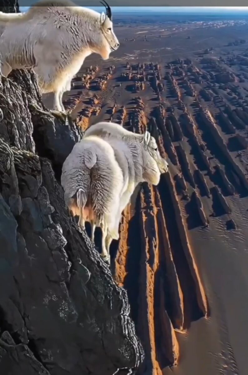 Ищу новости