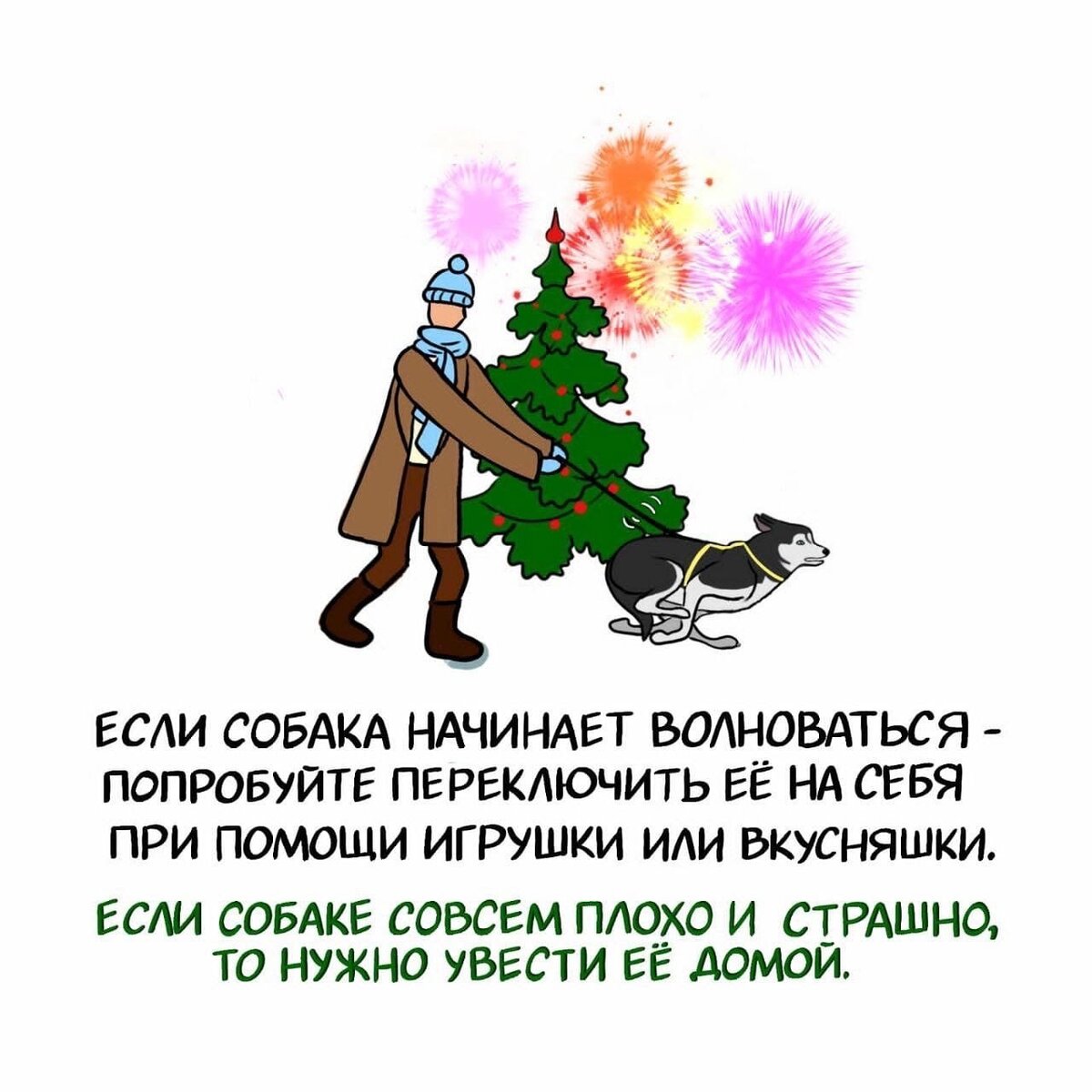 Новогодняя техника безопасности. Берегите себя и своих питомцев! | Приют.ру  | Дзен