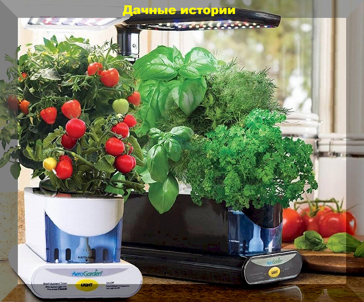 https://vk.com/photo-159774511_457257584