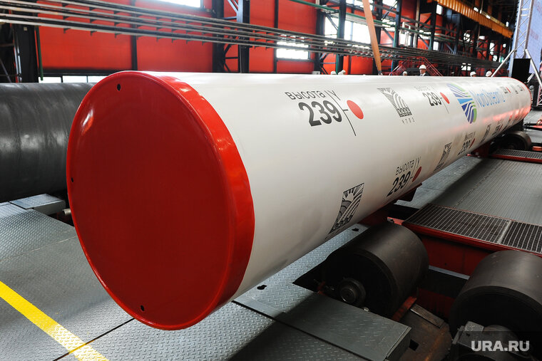    Такер Карлсон посчитал ложь о «Северных потоках» главной ложью об РФ в 2022 году