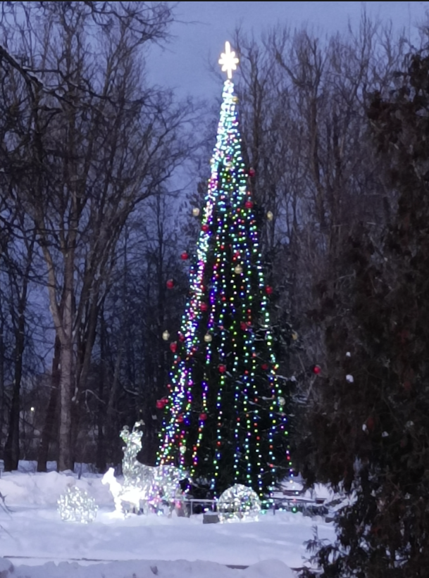 Ната Бертовна