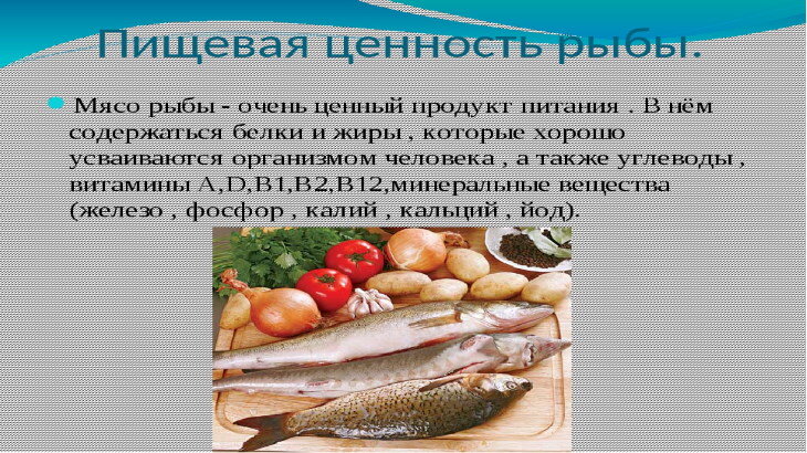 Салаты из рыбы и морепродуктов - рецепты