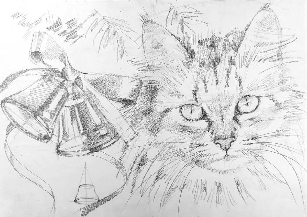 Как нарисовать мордочку кошки пошагово, даже если никогда не рисовал?  Узнаете в этой статье! | АРТИЛАЙК-Онлайн школа рисования | Дзен