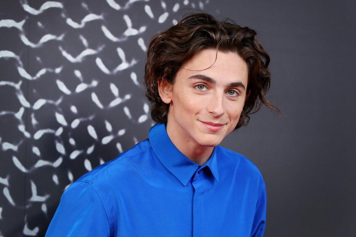     За что мы любим Тимоти Шаламе: 10 интересных фактов об актёре