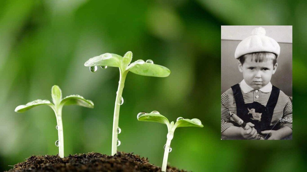 На фото: ваш фотообраз и прорастающее растение