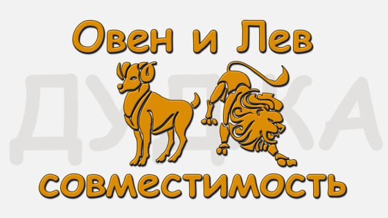 Женщина овен мужчина лев совместимость в отношениях. Овен и лев совместимость. Мужчина овен и женщина водолей совместимость. Овен и лев совместимость. Женщина овен мужчина лев совместимость в отношениях.