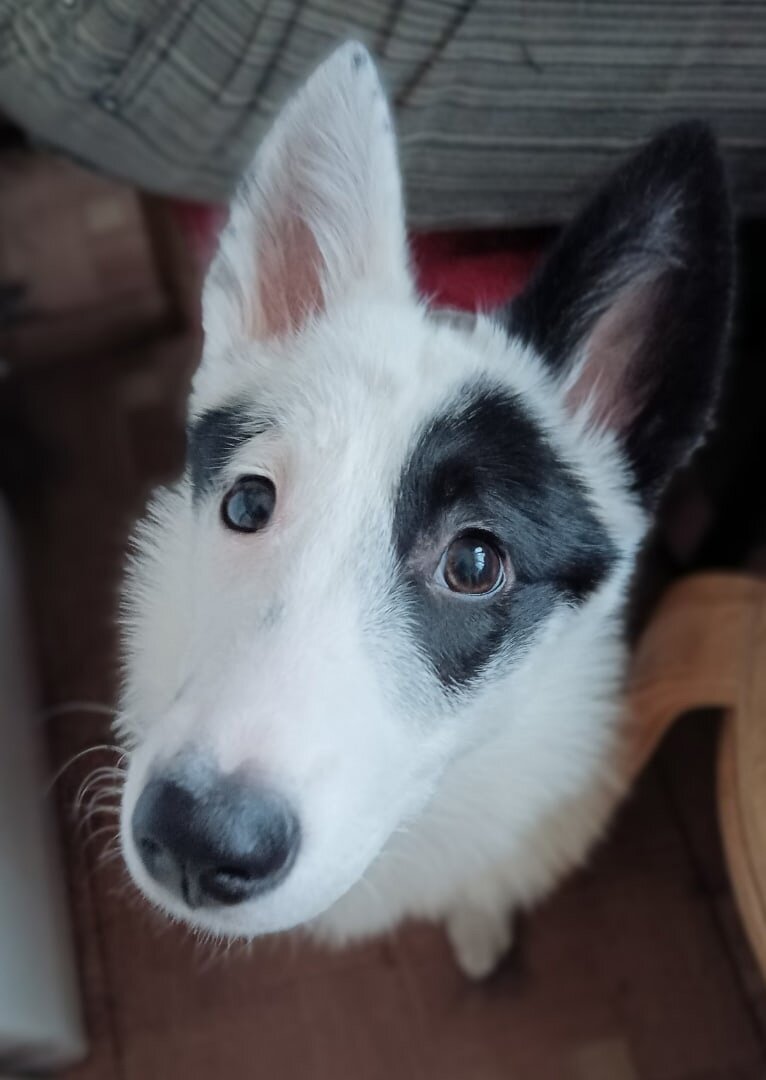 Ну прям ми-ми-ми сю-сю-сю