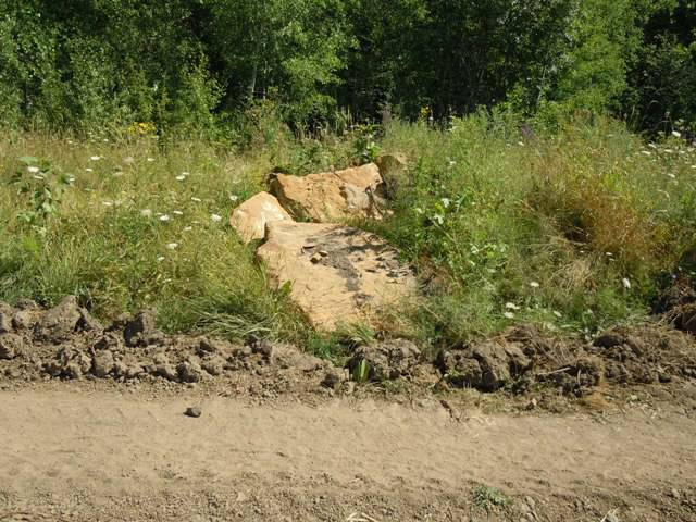 4 сентября 2014 года Теперь о другом. Сейчас на самой восточной Богатырской поляне работают лесозаготовители. Ниже показаны результаты их деятельности.-2
